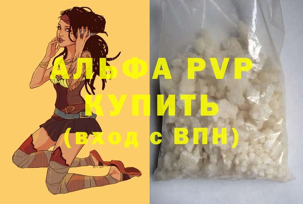 стаф Горнозаводск