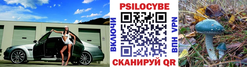 купить наркоту  Тетюши  Псилоцибиновые грибы Psilocybe 